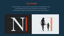 Anatomy of Typography Explained | PDF | Serif | Letter Case