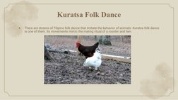 Kuratsa Folk Dance
●
There are dozens of Filipino folk dance that imitate the behavior of animals. Kuratsa folk dance 
is one