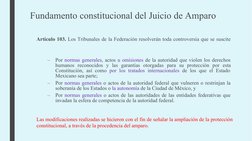 Fundamento constitucional del Juicio de Amparo
Artículo 103. Los Tribunales de la Federación resolverán toda controversia que