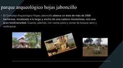 parque arqueológico hojas jaboncillo
• El Complejo Arqueológico Hojas-Jaboncillo abarca un área de más de 3500 
hectáreas, lo