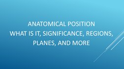 Peripheral Position Anatomical Position and Directional Terms | PDF | Anatomical Terms Of ...