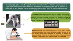 El microscopio óptico posee dos tipos de lentes. una de las lentes es el ocular que se ubica en el 
lugar donde el observador