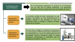 B).MICROSCOPIO 
ELECTRÓNICO:
En el microscopio electrónico la muestra no es iluminada 
con luz sino que se utilizan electrone