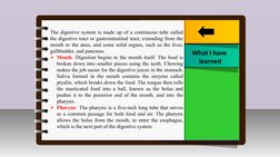 III.
Innovation /Intervention Strategy
What I have 
learned
The digestive system is made up of a continuous tube called 
the