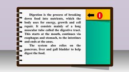 III.
Innovation /Intervention Strategy
Digestion is the process of breaking 
down food into nutrients, which the 
body uses f