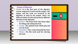 III.
Innovation /Intervention Strategy
Organs of Digestion
Mouth. It is the first part of the digestive 
system composed of