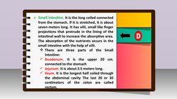 III.
Innovation /Intervention Strategy
Small intestine. It is the long coiled connected 
from the stomach. If it is stretche