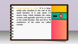 III.
Innovation /Intervention Strategy
Large intestine or colon. It is a large 
coiled tube attached to the end of the 
smal