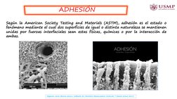 Según la American Society Testing and Materials (ASTM), adhesión es el estado o
fenómeno mediante el cual dos superficies de