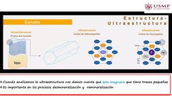 Cuando analizamos la ultraestructura nos damos cuenta que este magnesio que tiene trazas pequeñas 
Es importante en los pro