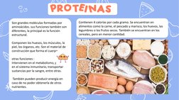 Contienen 4 calorías por cada gramo. Se encuentran en 
alimentos como la carne, el pescado y marisco, los huevos, las 
legumb