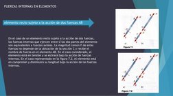 En el caso de un elemento recto sujeto a la acción de dos fuerzas, 
las fuerzas internas que ejercen entre sí las dos partes
