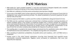 PAM Matrices
• PAM stands for “point accepted mutation”. It was first constructed by Margaret Dayhoff, who compiled 
alignmen