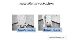 REACCIÓN DE PARACAÍDAS 
Reacción negativa
Reacción positiva 
Manual de fisioterapia, Pág. 71. 
