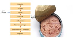 Exhausting  
sellado
Lavado 
Esterilizado  
Enfriamiento 
Limpieza y empaque 
Almacenamiento y etiquetado 
Se realiza con vap