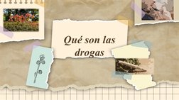 Qué son las 
drogas
