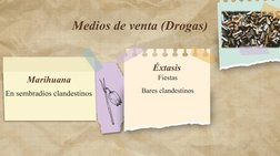 Medios de venta (Drogas)
En sembradíos clandestinos 
Marihuana
Éxtasis 
Fiestas
Bares clandestinos
