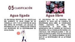 05 CLASIFICACIÓN
Agua ligada
Agua libre
SE ENCUENTRA DENTRO DE LAS MOLÉCULAS
DEL ALIMENTO. EL AGUA LIGADA NO SE
CONGELA A -20