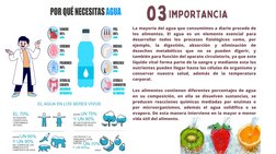 La mayoría del agua que consumimos a diario procede de
los alimentos. El agua es un elemento esencial para
desarrollar todos