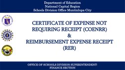 RER and COENRR Guidelines for Expenses | PDF | Payments | Receipt