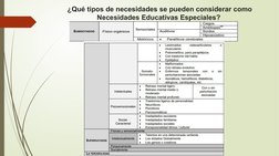 ¿Qué tipos de necesidades se pueden considerar como 
Necesidades Educativas Especiales? 
