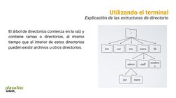 Utilizando el terminal
Explicación de las estructuras de directorio
El árbol de directorios comienza en la raíz y 
contiene r