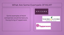 What Are Some Exampels Of MLM?
Some examples of MLM 
companies would be Epicure, 
Young living & Tupperware
