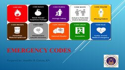 Common Emergency Code Understanding Hospital Emergency Codes | PDF | Emergency ...
