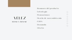 VÉLEZ
Resumen del producto 
Estrategia
Promociones
Mezcla de mercadotecnia
FODA
Demanda
Oferta
TEMAS A TRATAR
