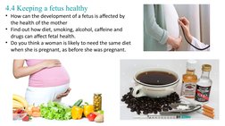 4.4 Keeping a fetus healthy
• How can the development of a fetus is affected by 
the health of the mother
• Find out how diet