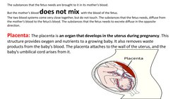 The substances that the fetus needs are brought to it in its mother’s blood. 
But the mother’s blood does not mix with the bl