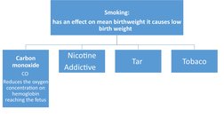 Smoking:
has an effect on mean birthweight it causes low 
birth weight  
Carbon 
monoxide
CO 
Reduces the oxygen 
concentrati