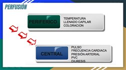 PERFUSIÓN 
