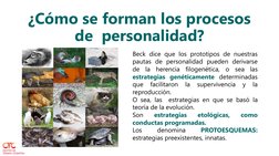 ¿Cómo se forman los procesos 
de  personalidad?
Beck dice que los prototipos de nuestras
pautas de personalidad pueden deriva