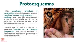 Protoesquemas
Estas
estrategias
primitivas
y
automáticas, están influidas por proceso
cognitivo-afectivo-motivacionales
antig