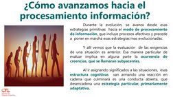 ¿Cómo avanzamos hacia el 
procesamiento información?
Durante
la
evolución,
se
avanza
desde
esas
estrategias primitivas hacia