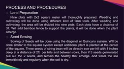 PROCESS AND PROCEDURES
Land Preparation
Nine plots with 2x2 square meter will thoroughly prepared. Weeding and 
cultivating