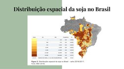 Distribuição espacial da soja no Brasil
