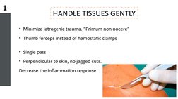 Halsted Principles Halsted's Principles of Surgery Explained | PDF