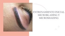 ENTRENAMIENTO INICIAL
MICROBLADING Y 
MICROSHADING

