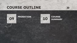 Non-Institutional Corrections Overview | PDF | Pardon | Bail