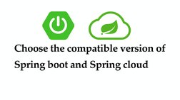 Choose the compatible version of 
Spring boot and Spring cloud
