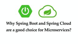 Why Spring Boot and Spring Cloud 
are a good choice for Microservices?
