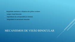 MECANISMOS DE VISÃO BINOCULAR
   integridade anatómica e dióptrica dos globos oculares 

 campo visual binocular 

 import