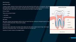 5
Board Summary 
Mammalian Teeth 
A tooth is a hard, resistant structure found on the jaws and around the mouth areas of vert