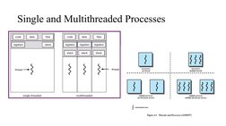 Single and Multithreaded Processes

