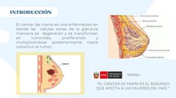 INTRODUCCIÓN
El cáncer de mama es una enfermedad en
donde las  células sanas de la glándula
mamaria se  degeneran y se transf