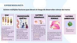 EDAD
EDAD
Existen múltiples factores que elevan el riesgo de desarrollar cáncer de mama: 
EPIDEMIOLOGÍA
La incidencia +
hasta
