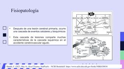 Fisiopatología
•
Después de una lesión cerebral primaria, ocurre 
una cascada de eventos celulares y bioquímicos
•
Esta casca