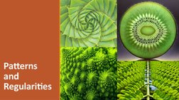Patterns And Regularities Example Symmetry Patterns in Nature | PDF | Pattern | Symmetry